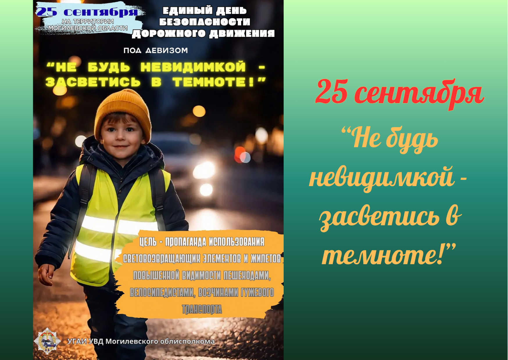 Единый день безопасности дорожного движения
